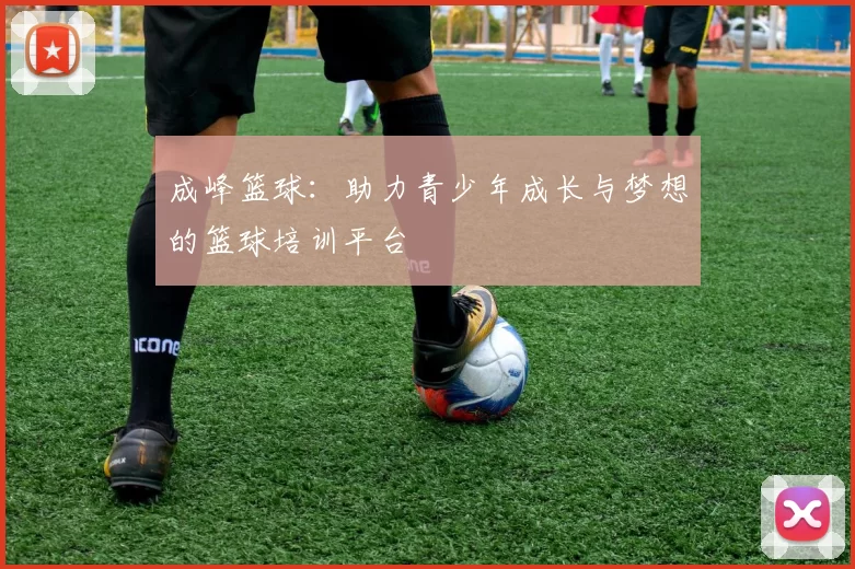 成峰篮球：助力青少年成长与梦想的篮球培训平台
