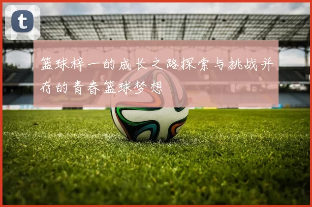 篮球梓一的成长之路探索与挑战并存的青春篮球梦想